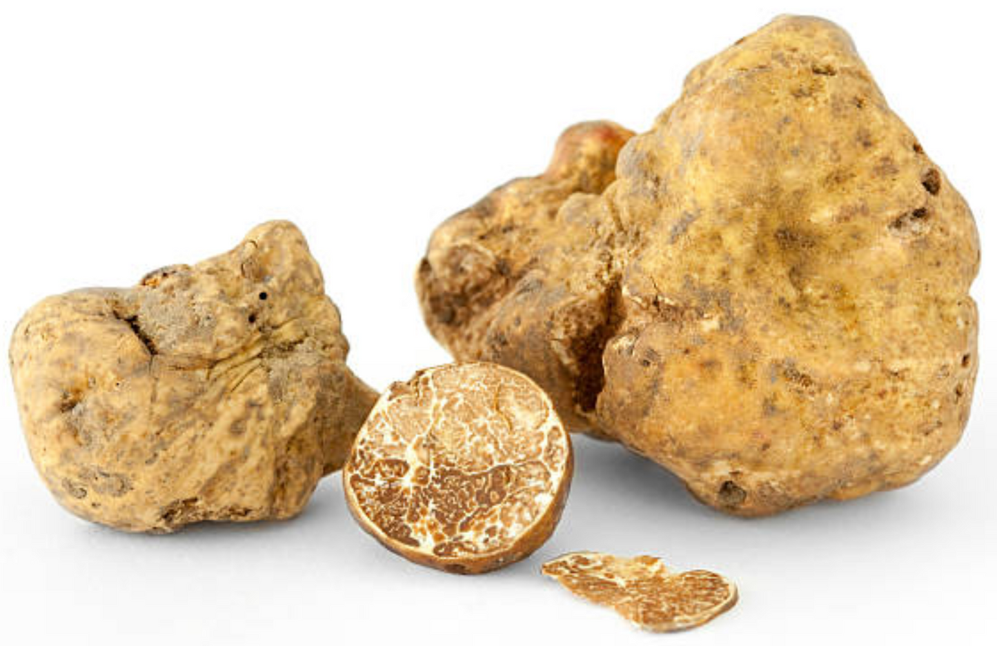 Tartufo bianco pregiato