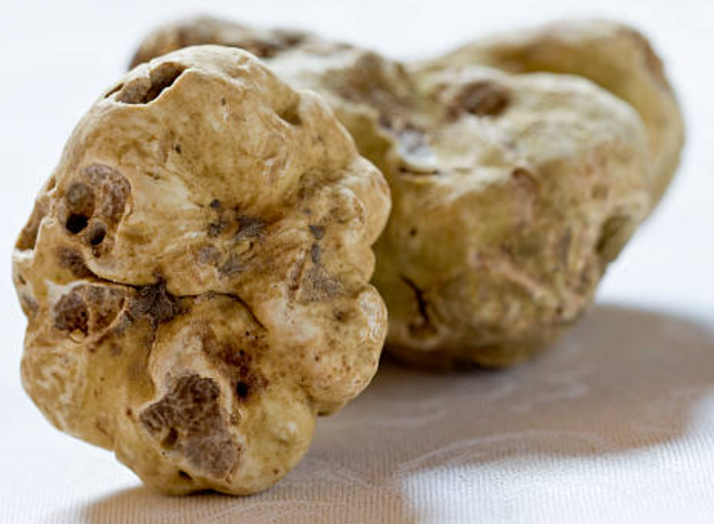 Tartufo bianco pregiato