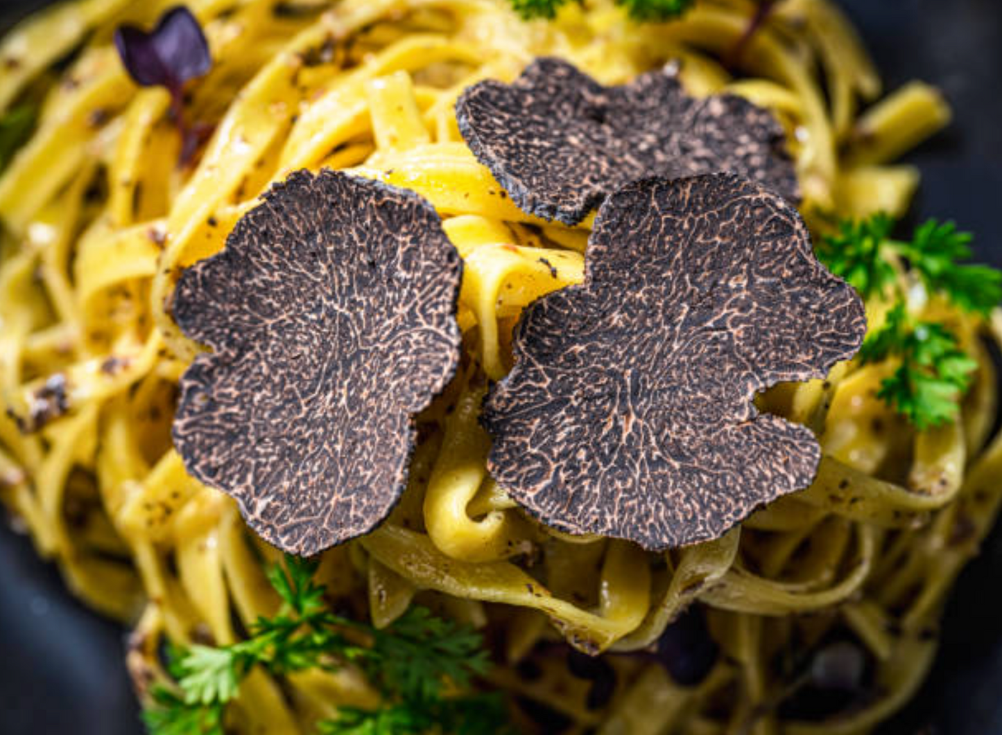 Tuber Mesentericum | Tartufo Nero di Bagnoli