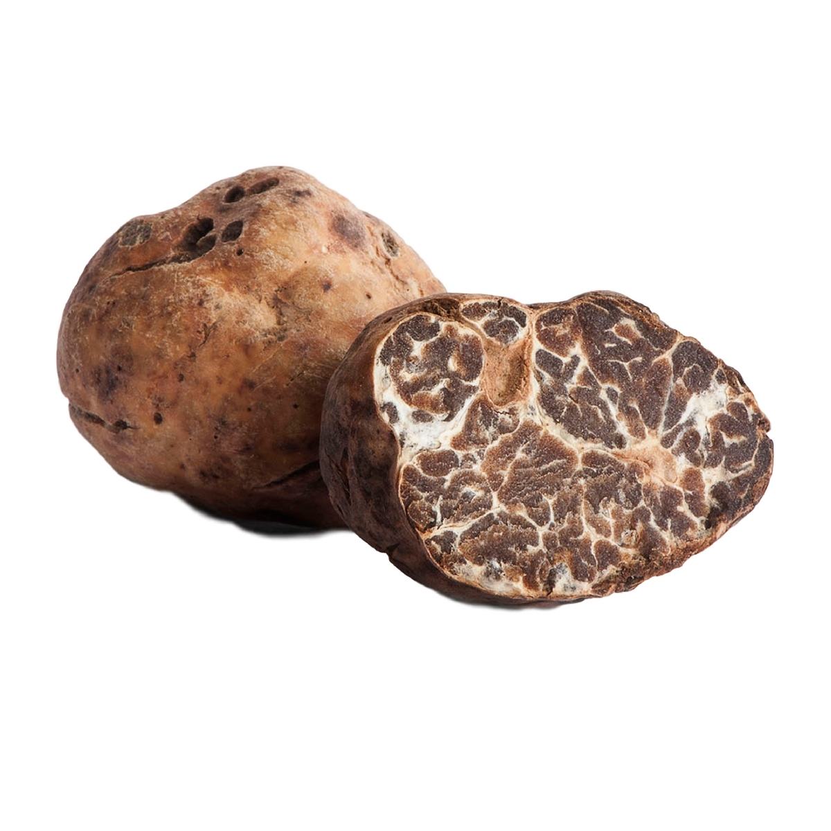 Tartufo Bianchetto Fresco | Tuber Borchii |  Pura Potenza Aromatica 💎