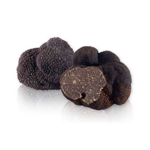 Tuber Mesentericum | Tartufo Nero di Bagnoli